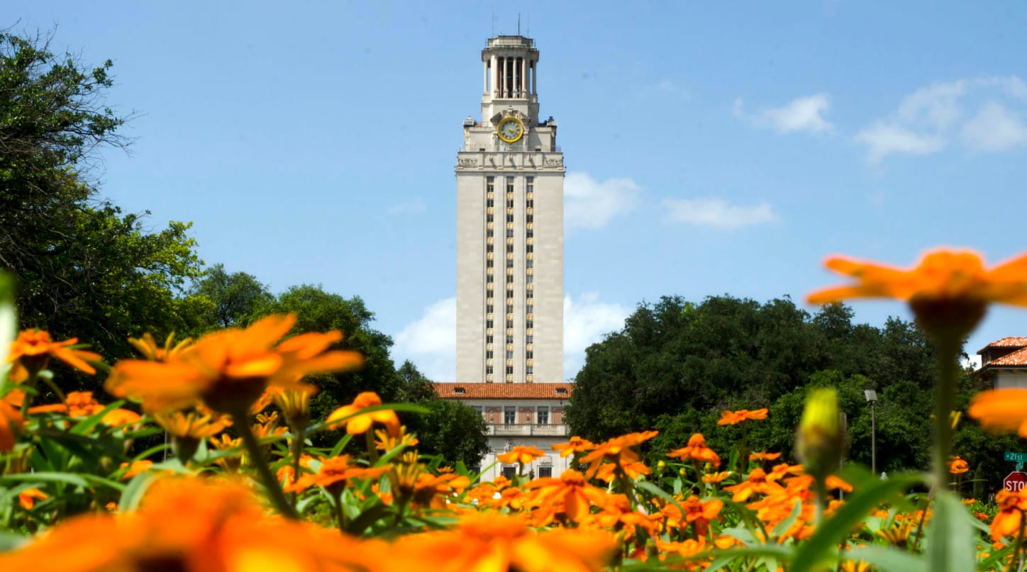 The University of Texas at Austin Master of Arts in Human Dimensions of Organizations